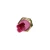 4b3561040aeed2fc806f3a9eb889dc9d