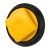 e023921be9f666acc480a3de17d62905